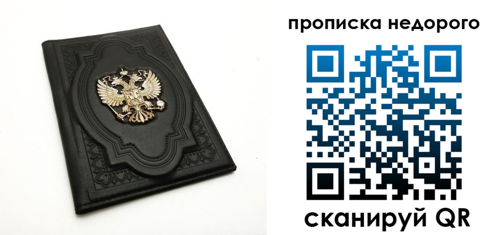 прописка для школы в Далматово